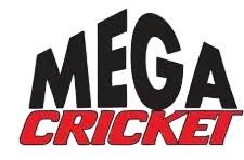 mega cricket